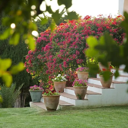La Ciruela - Super équipée, Piscine, Jardin, Wi-fi Villa
