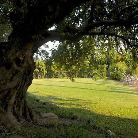 La Ciruela - Paisible Jardin De 5000m2 Piscine Chauffee Et Vue Sur