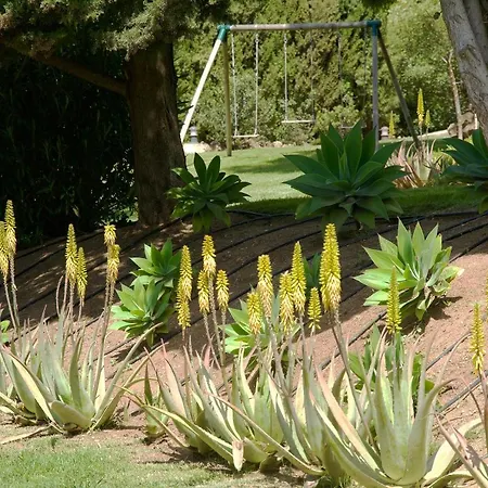 La Ciruela - Paisible Jardin De 5000m2 Piscine Chauffee Et Vue Sur ヴィラ ミハス